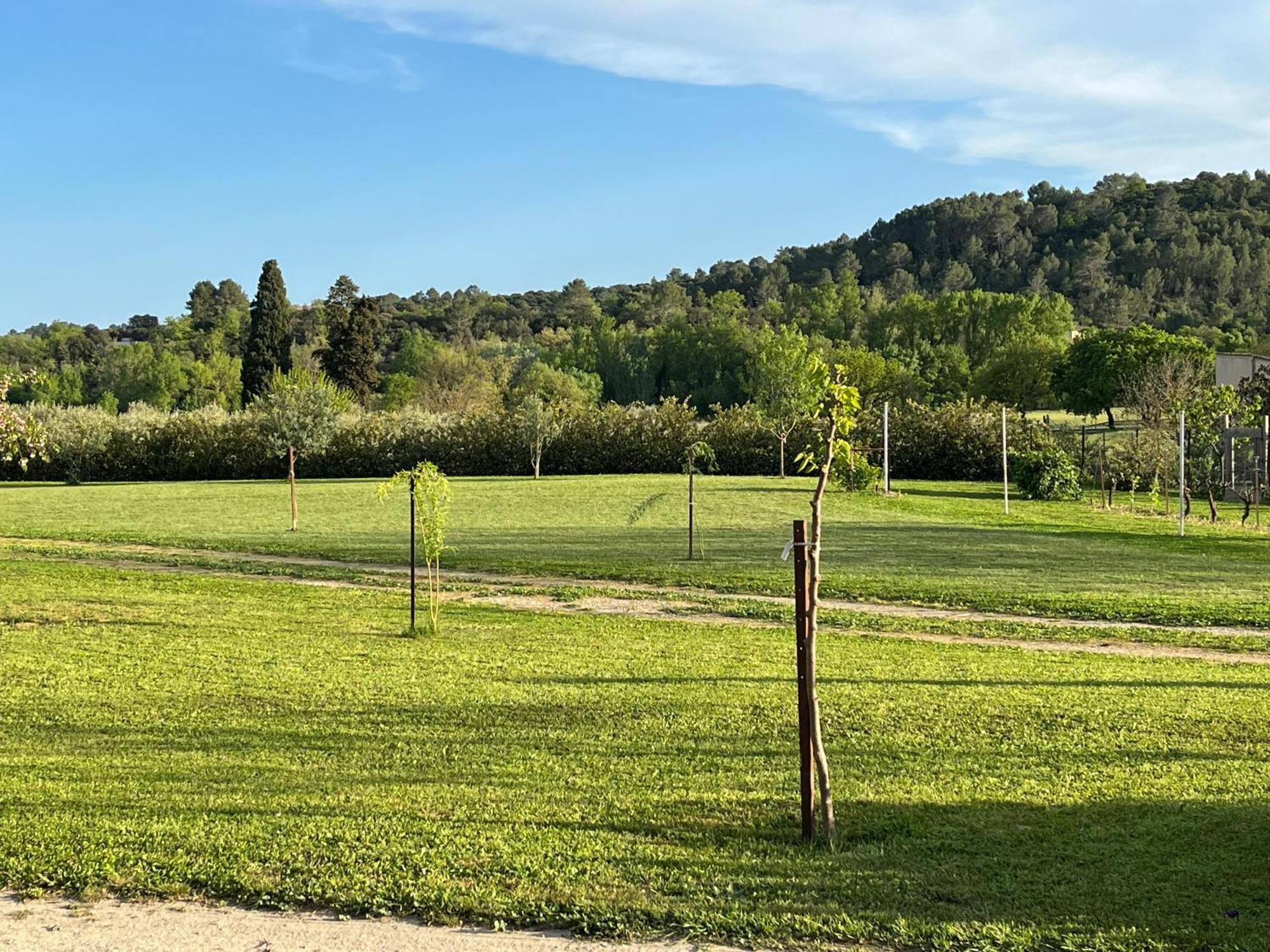 شقة La Bergerie Domessargues المظهر الخارجي الصورة