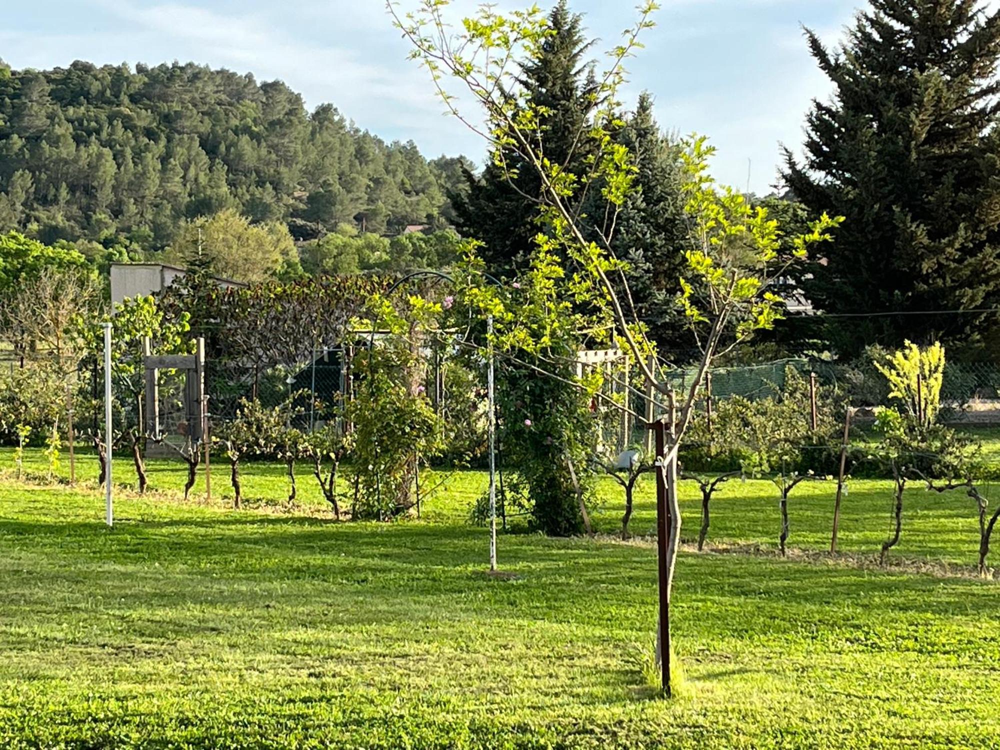 شقة La Bergerie Domessargues المظهر الخارجي الصورة